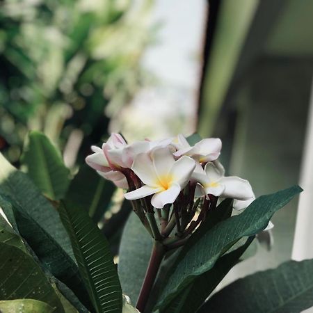 El Homestay Bali Nusa Dua  Kültér fotó