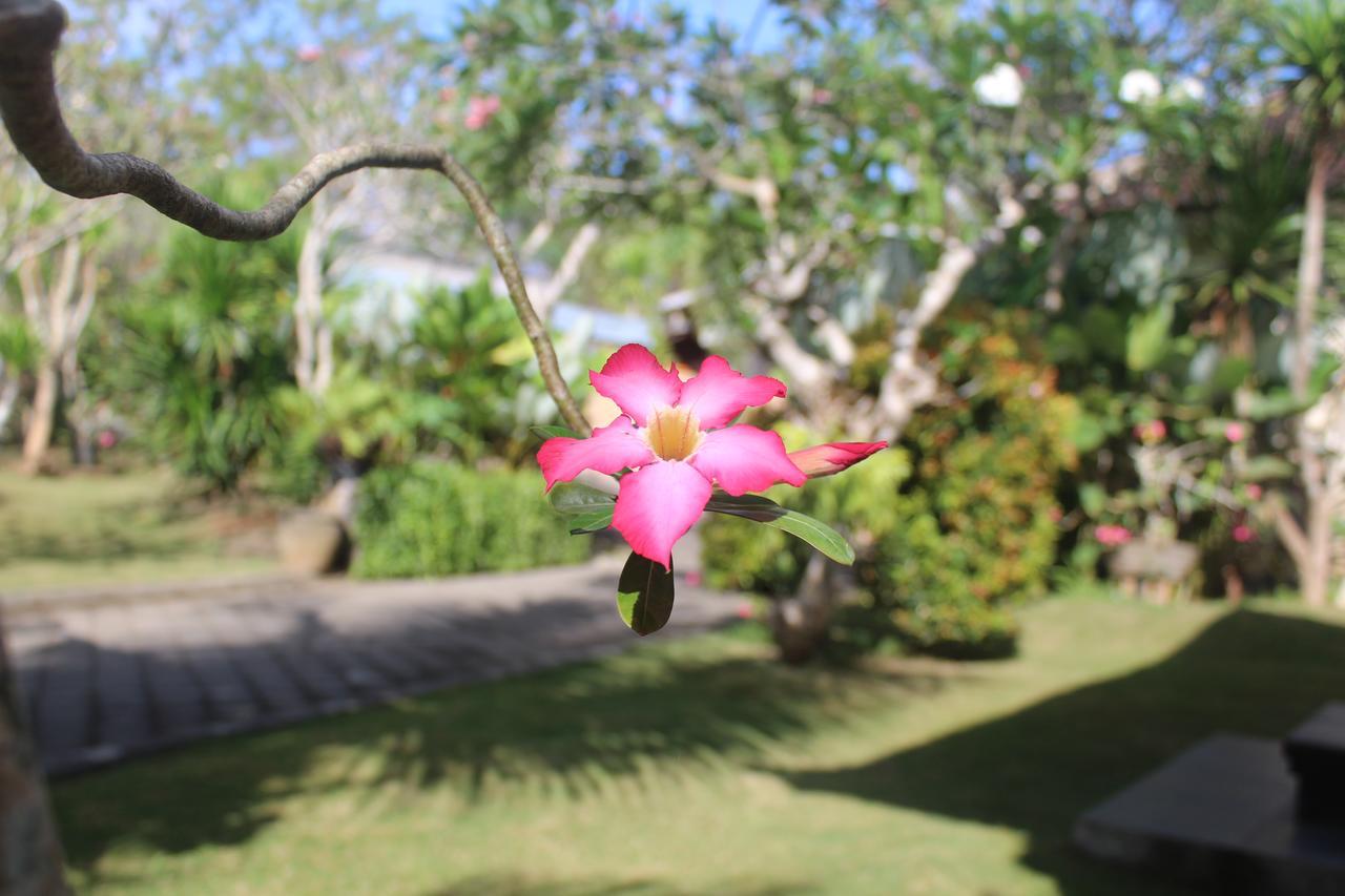 El Homestay Bali Nusa Dua  Kültér fotó