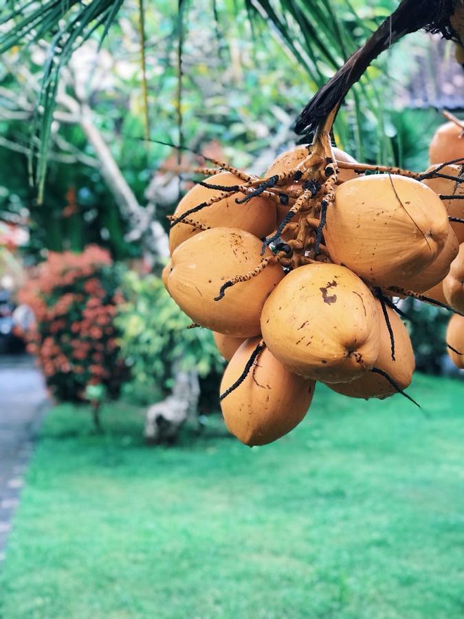 El Homestay Bali Nusa Dua  Kültér fotó