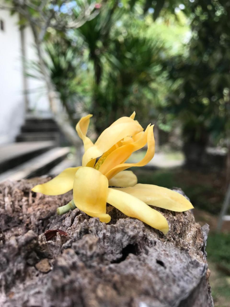 El Homestay Bali Nusa Dua  Kültér fotó