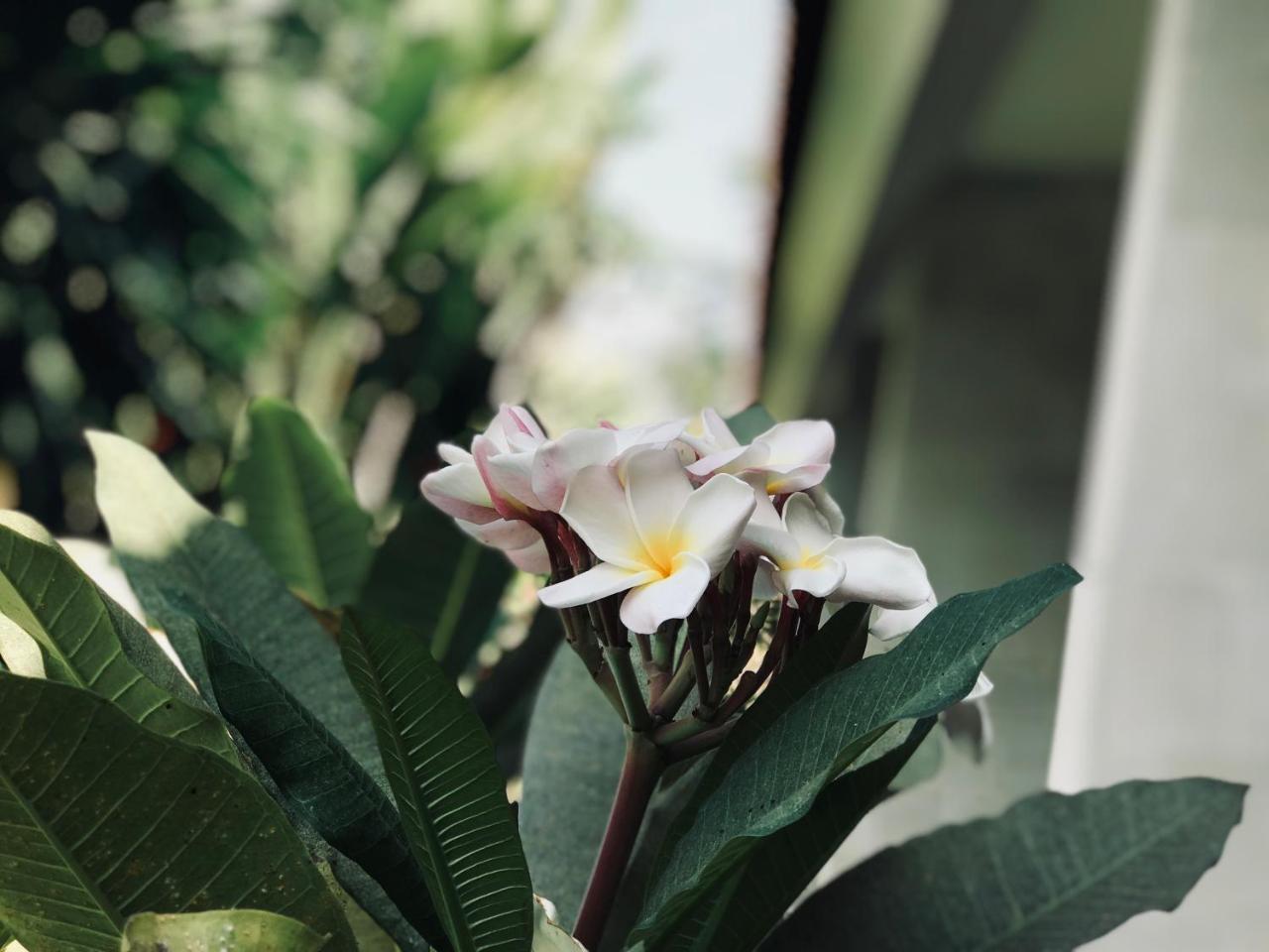 El Homestay Bali Nusa Dua  Kültér fotó